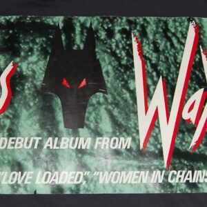 Waysted Vices Debut & USA Tour Banner
